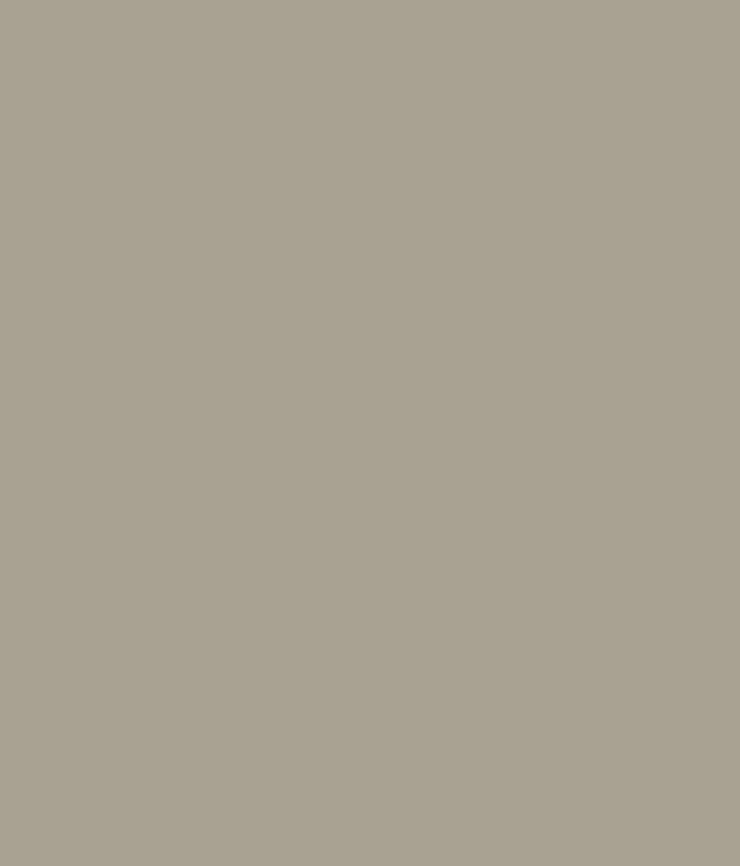 VERFÜGBAR ab JULI 26 Bamboo WPC Velvet-Touch RP045G 2600x1220x5mm (3,172m²)
