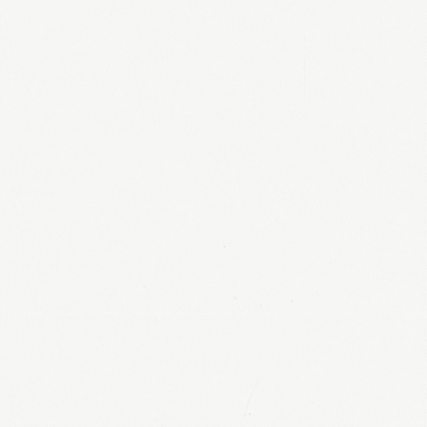 VERFÜGBAR ab JULI 26 Bamboo WPC Smooth-Surface 53209 2600x1220x5mm (3,172m²)
